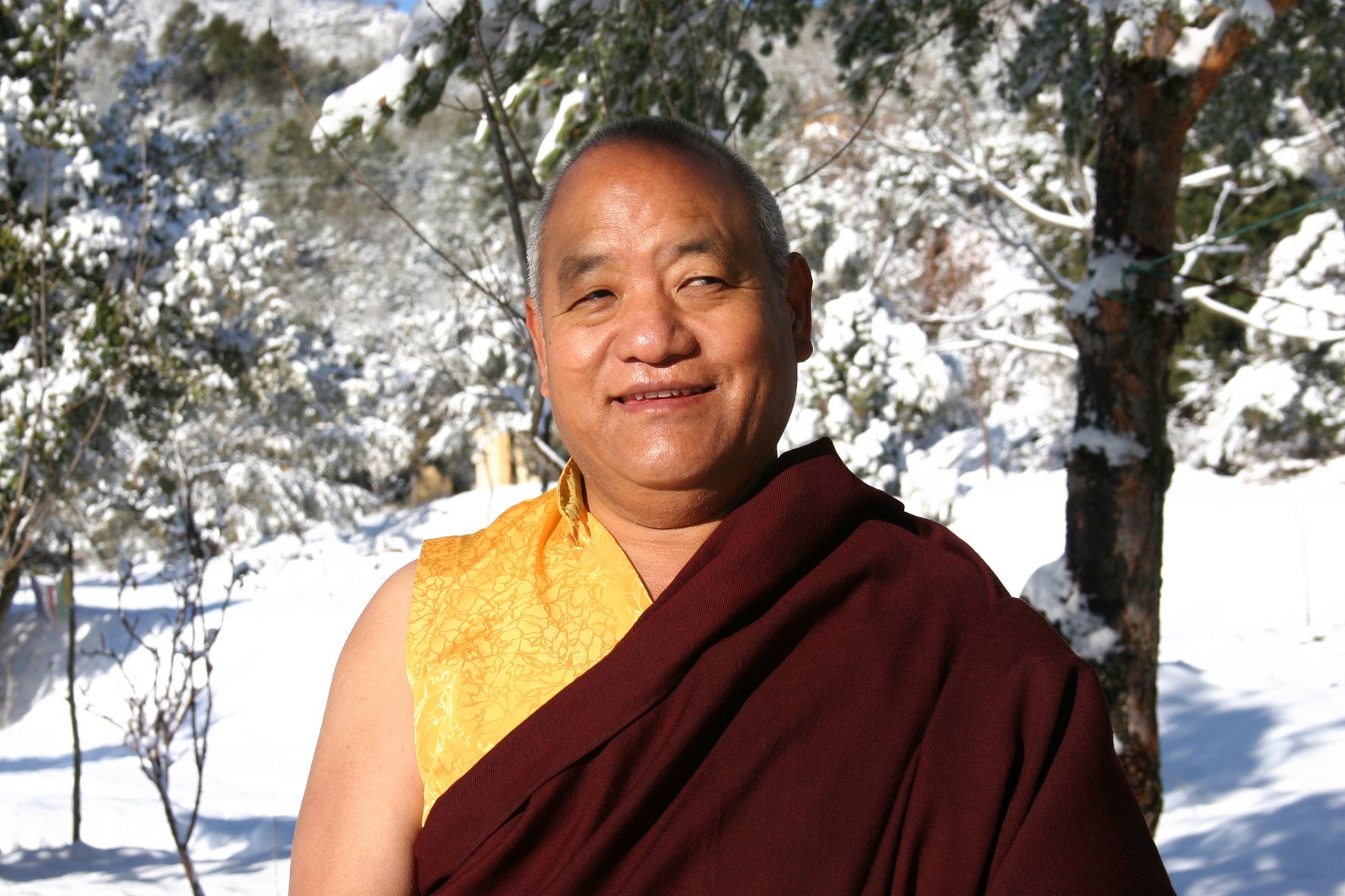 Odoo image and text block