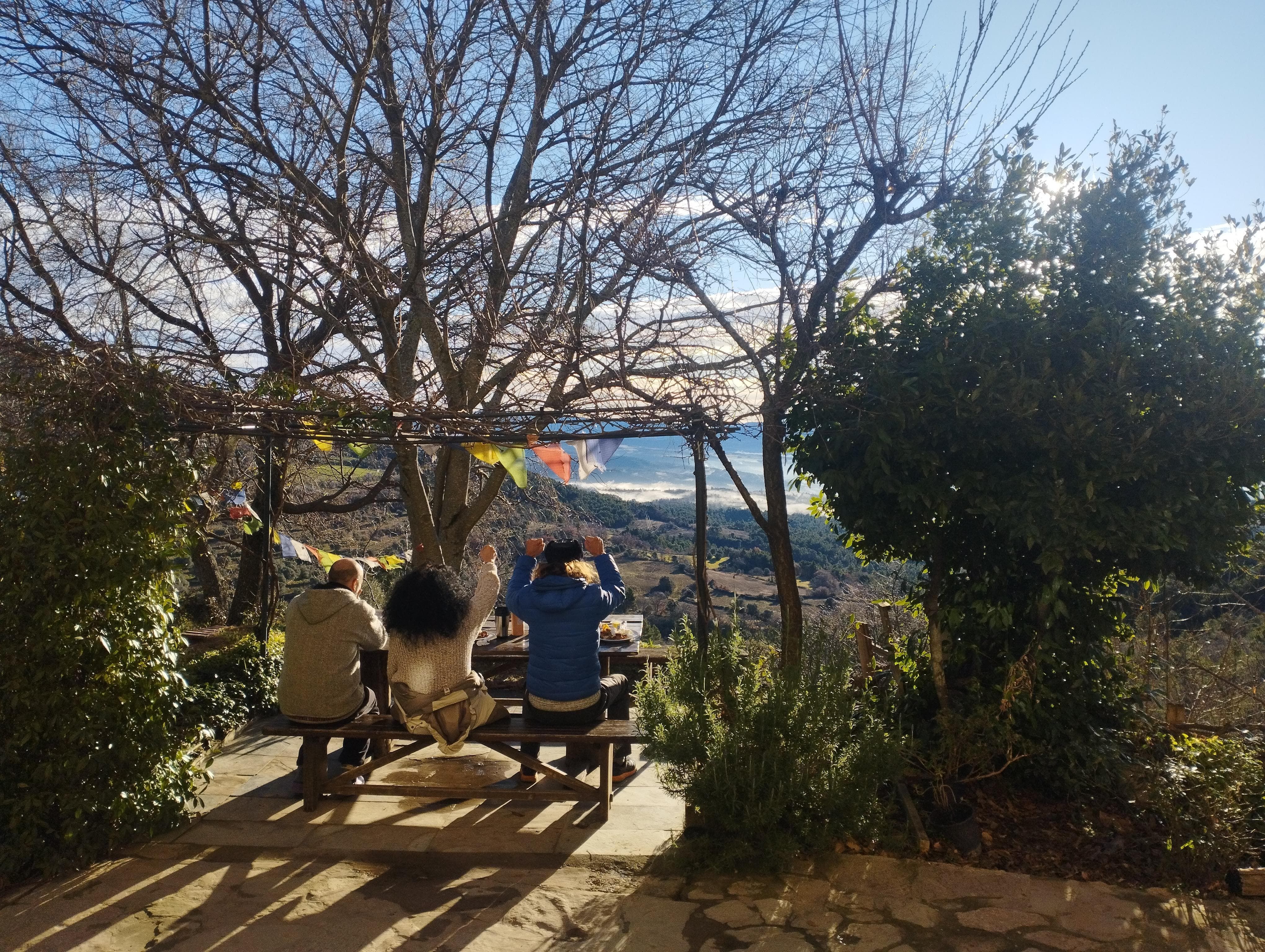 Imagen de Odoo del banner